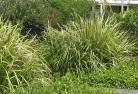 Sugarloaf NSWnative-gardens-10.jpg; ?>